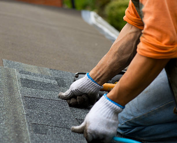 Best Roof Gutter Cleaning  in Newbern, TN